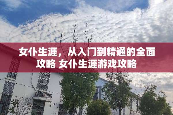 女仆生涯，从入门到精通的全面攻略 女仆生涯游戏攻略