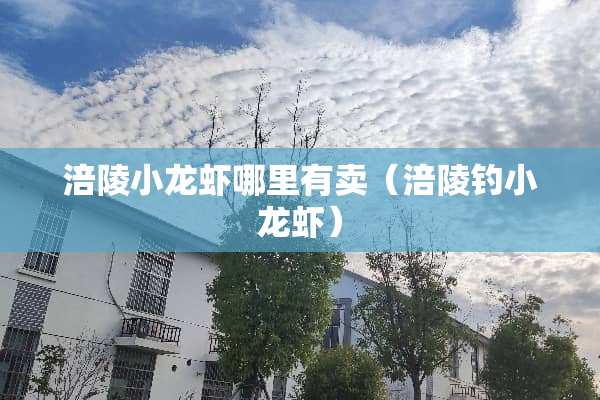 涪陵小龙虾哪里有卖（涪陵钓小龙虾）