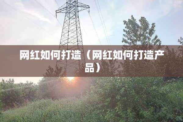 网红如何打造（网红如何打造产品）