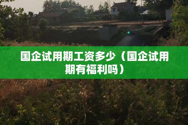 国企试用期工资多少（国企试用期有福利吗）