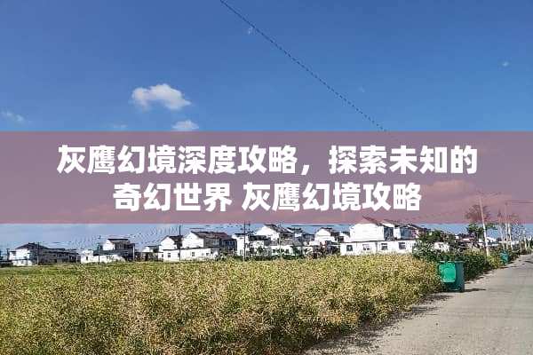 灰鹰幻境深度攻略，探索未知的奇幻世界 灰鹰幻境攻略
