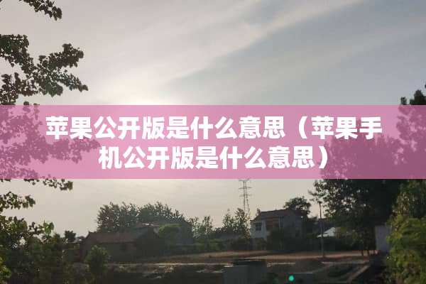苹果公开版是什么意思（苹果手机公开版是什么意思）