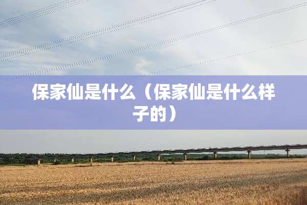 保家仙是什么（保家仙是什么样子的）