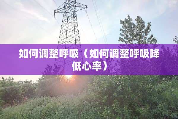 如何调整呼吸（如何调整呼吸降低心率）