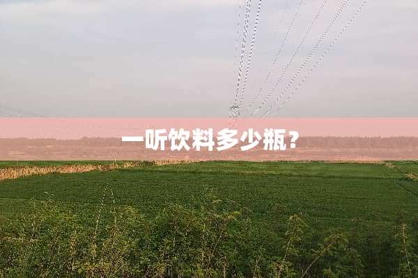 一听饮料多少瓶？