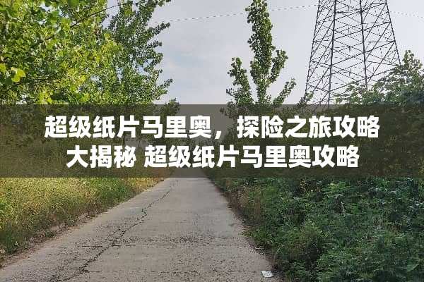 超级纸片马里奥，探险之旅攻略大揭秘 超级纸片马里奥攻略