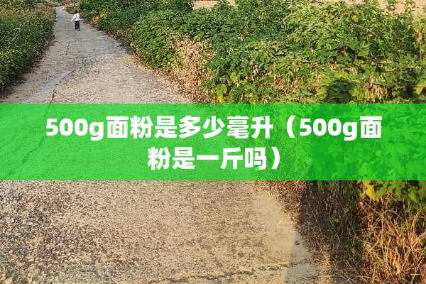 500g面粉是多少毫升（500g面粉是一斤吗）