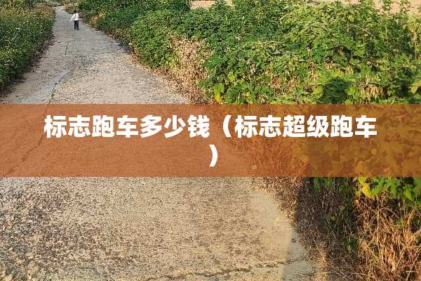标志跑车多少钱（标志超级跑车）