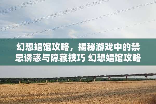 幻想娼馆攻略，揭秘游戏中的禁忌**与隐藏技巧 幻想娼馆攻略