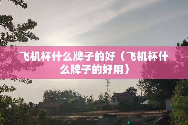 飞机杯什么牌子的好（飞机杯什么牌子的好用）