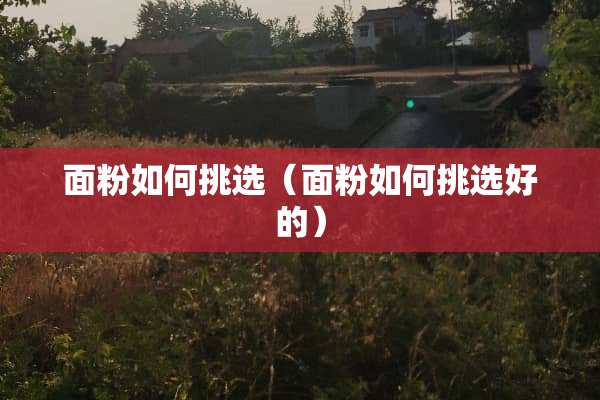 面粉如何挑选（面粉如何挑选好的）