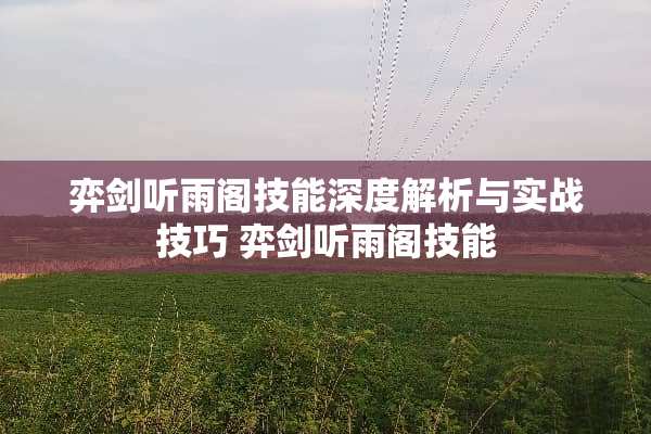 弈剑听雨阁技能深度解析与实战技巧 弈剑听雨阁技能