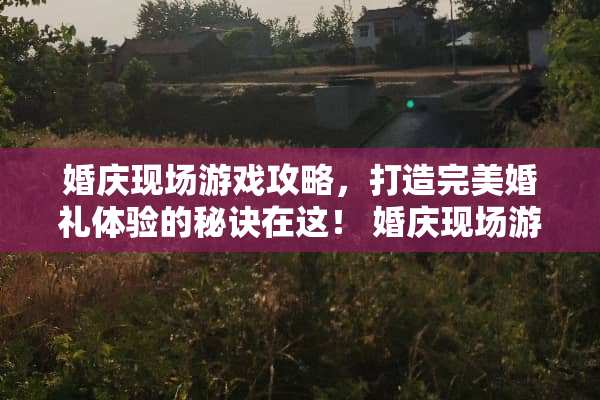 婚庆现场游戏攻略，打造完美婚礼体验的秘诀在这！ 婚庆现场游戏攻略