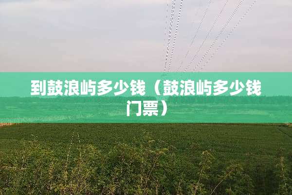 到鼓浪屿多少钱（鼓浪屿多少钱门票）