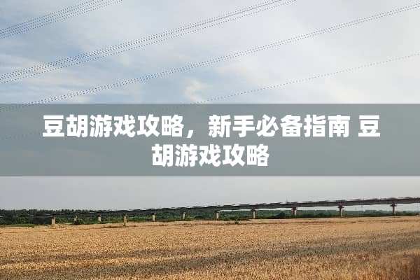 豆胡游戏攻略，新手必备指南 豆胡游戏攻略