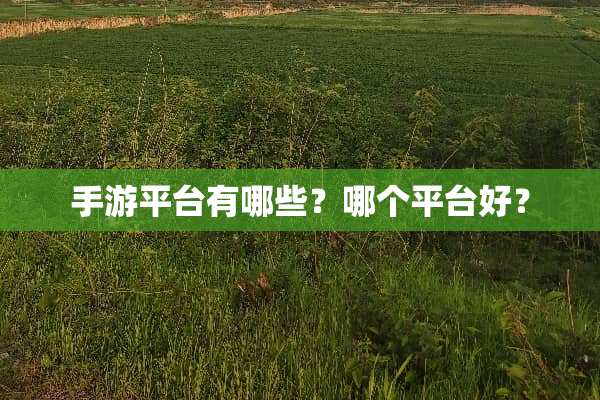 手游平台有哪些？哪个平台好？