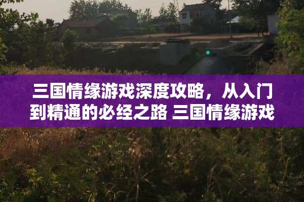 三国情缘游戏深度攻略，从入门到精通的必经之路 三国情缘游戏攻略