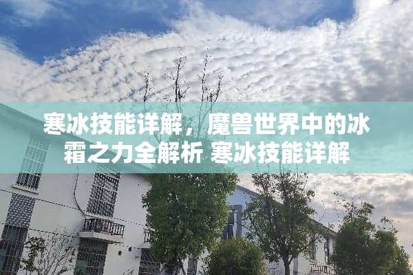 寒冰技能详解，魔兽世界中的冰霜之力全解析 寒冰技能详解