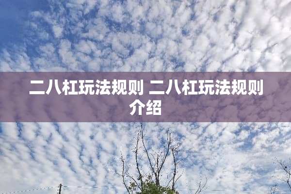 二八杠玩法规则 二八杠玩法规则介绍