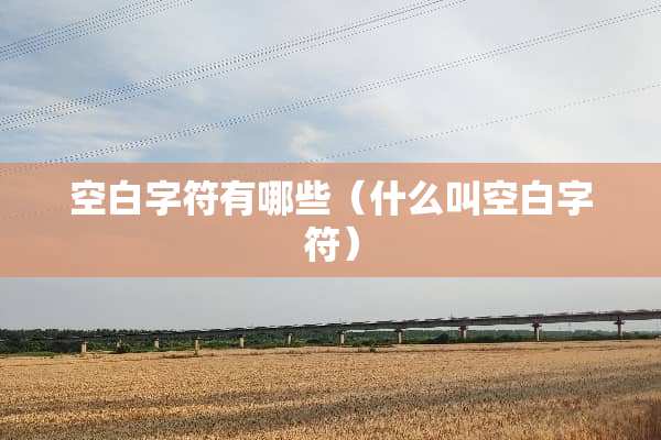 空白字符有哪些（什么叫空白字符）