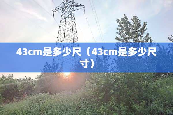 43cm是多少尺（43cm是多少尺寸）