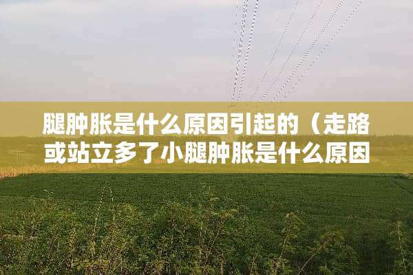 腿肿胀是什么原因引起的（走路或站立多了小腿肿胀是什么原因引起的）