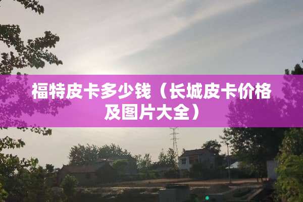 福特皮卡多少钱（长城皮卡价格及图片大全）