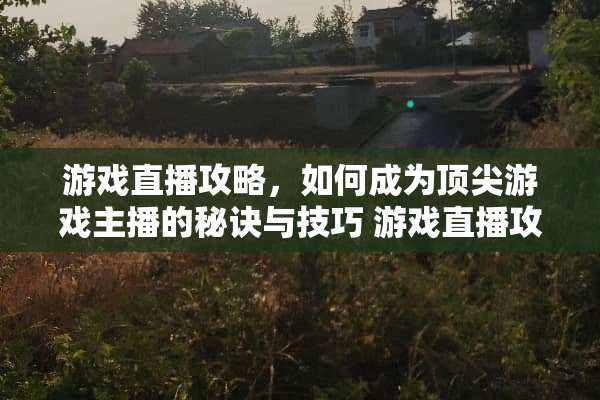 游戏直播攻略，如何成为顶尖游戏主播的秘诀与技巧 游戏直播攻略