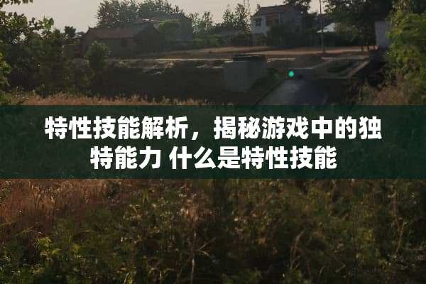 特性技能解析，揭秘游戏中的独特能力 什么是特性技能