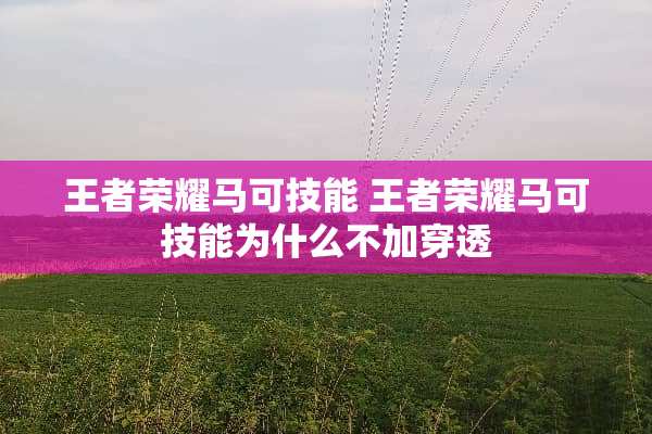 王者荣耀马可技能 王者荣耀马可技能为什么不加穿透