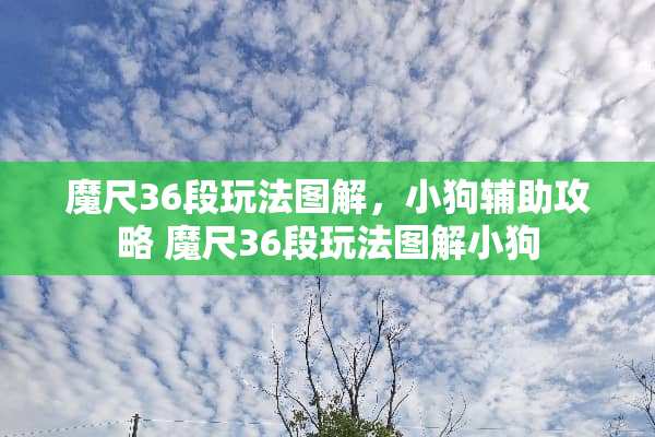 魔尺36段玩法图解，小狗辅助攻略 魔尺36段玩法图解小狗