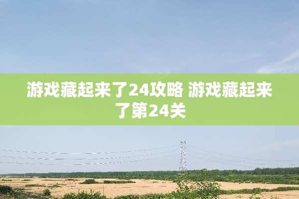 游戏藏起来了24攻略 游戏藏起来了第24关