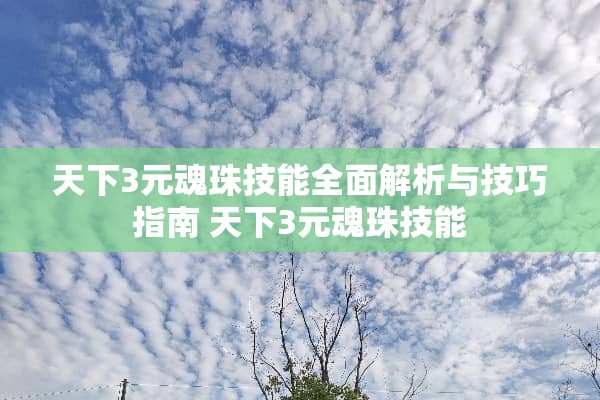 天下3元魂珠技能全面解析与技巧指南 天下3元魂珠技能