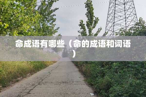 命成语有哪些（命的成语和词语）
