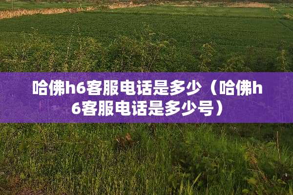 哈佛h6客服电话是多少（哈佛h6客服电话是多少号）
