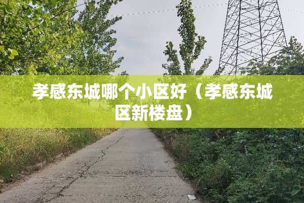 孝感东城哪个小区好（孝感东城区新楼盘）