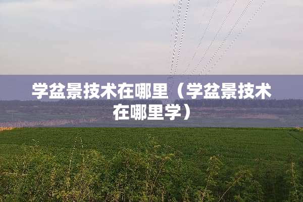 学盆景技术在哪里（学盆景技术在哪里学）