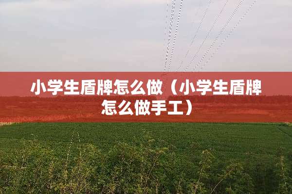 小学生盾牌怎么做（小学生盾牌怎么做手工）