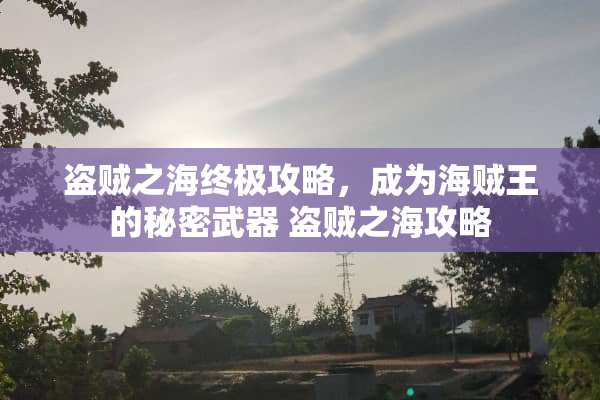盗贼之海终极攻略，成为海贼王的秘密** 盗贼之海攻略