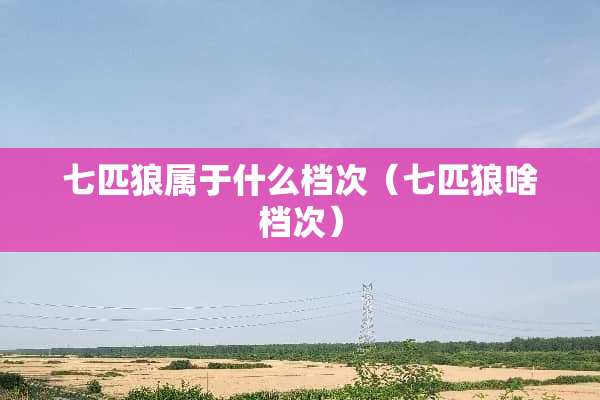 七匹狼属于什么档次（七匹狼啥档次）