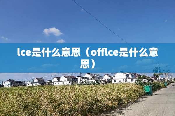 lce是什么意思（offlce是什么意思）