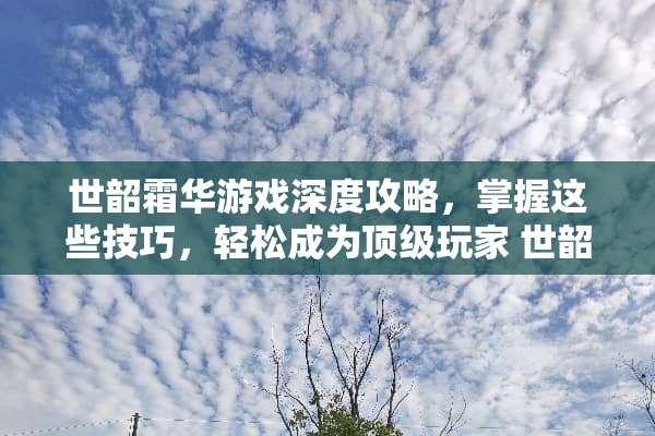 世韶霜华游戏深度攻略，掌握这些技巧，轻松成为**玩家 世韶霜华游戏攻略