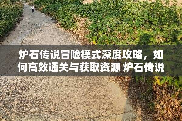 炉石传说冒险模式深度攻略，如何高效通关与获取资源 炉石传说冒险模式攻略