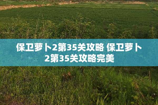 保卫萝卜2第35关攻略 保卫萝卜2第35关攻略完美