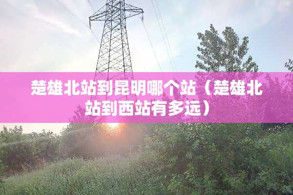 楚雄北站到昆明哪个站（楚雄北站到西站有多远）
