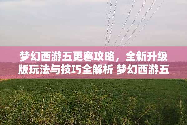 梦幻西游五更寒攻略，全新升级版玩法与技巧全解析 梦幻西游五更寒攻略