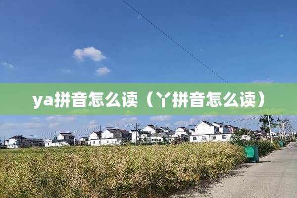ya拼音怎么读（丫拼音怎么读）