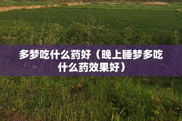 多梦吃什么药好（晚上睡梦多吃什么药效果好）