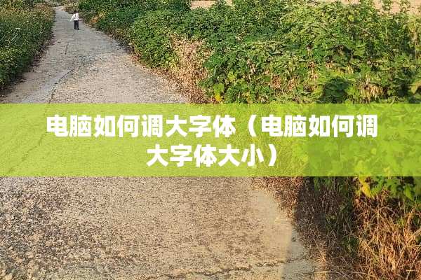 电脑如何调大字体（电脑如何调大字体大小）