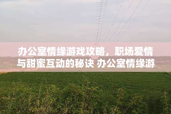 办公室情缘游戏攻略，职场爱情与甜蜜互动的秘诀 办公室情缘游戏攻略